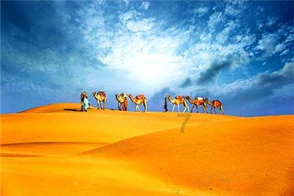 确保春运旅客安全 广铁长沙站开展雨棚安全排查